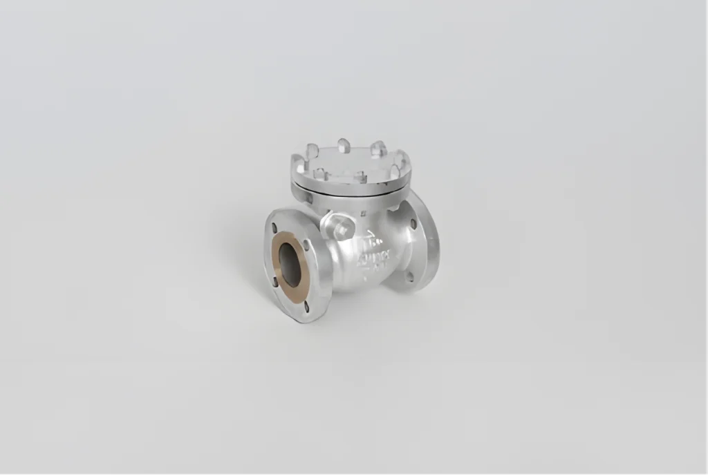 check valve